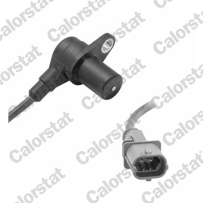 CS0101
