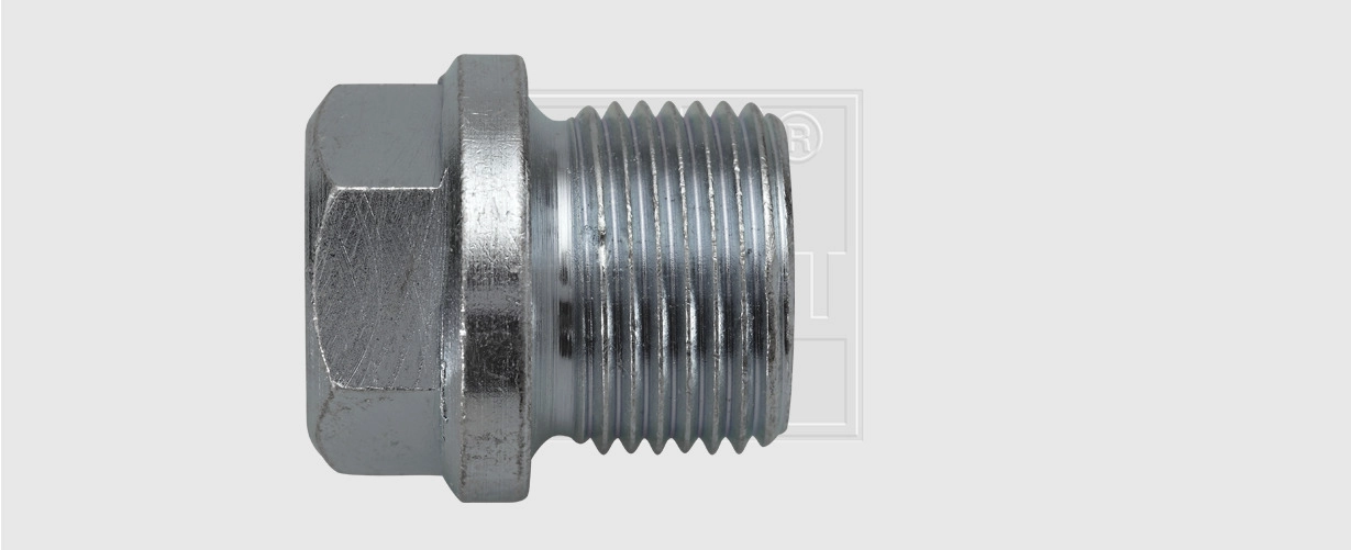 24300101216