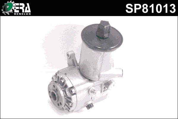 SP81013