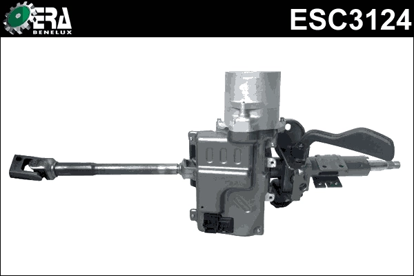 ESC3124