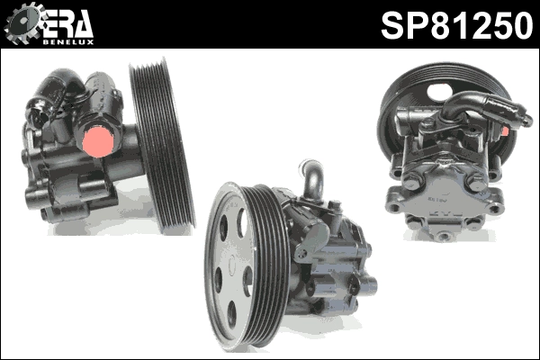 SP81250