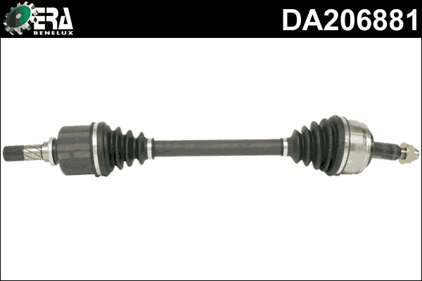 DA206881