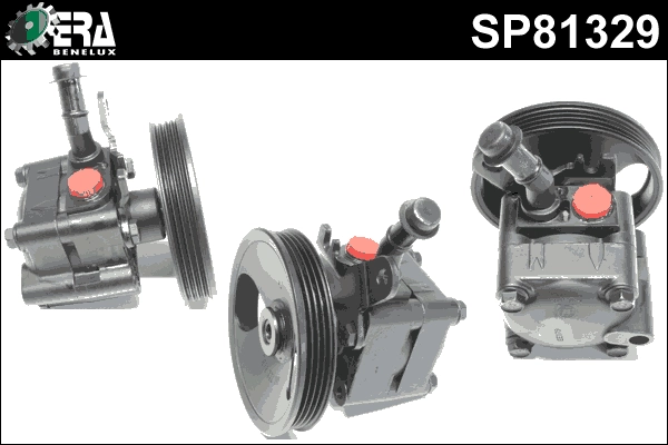 SP81329