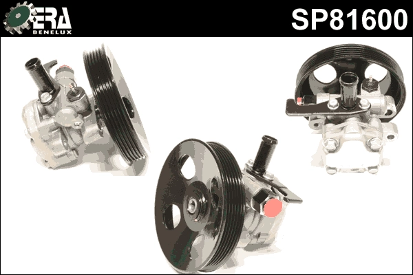 SP81600