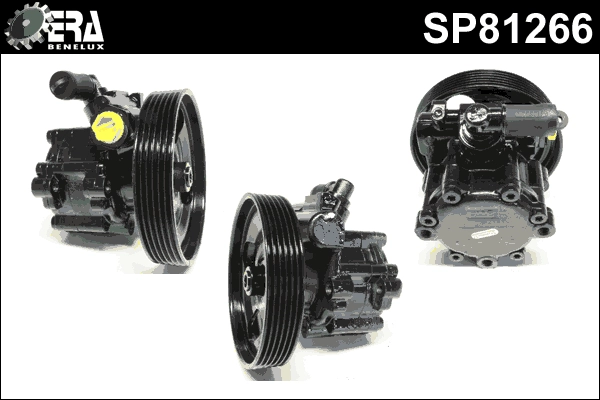SP81266