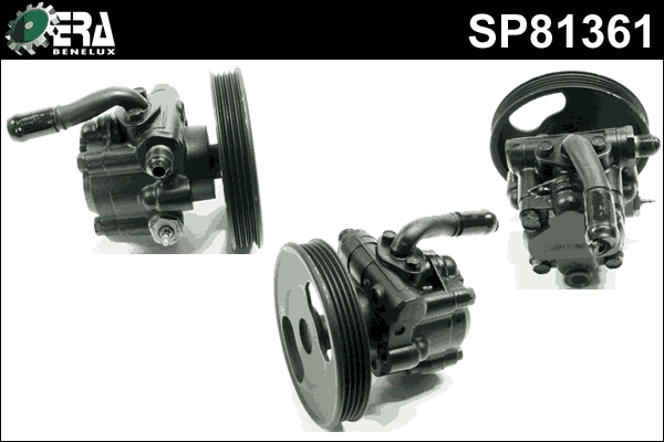 SP81361