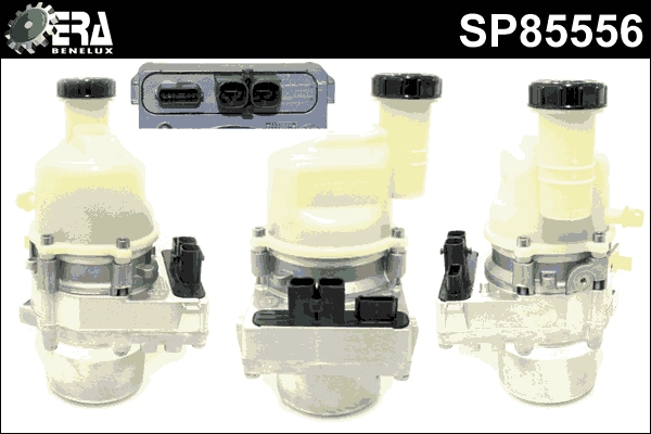 SP85556
