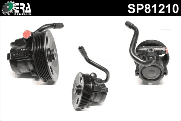 SP81210