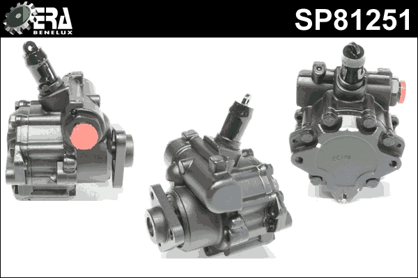 SP81251