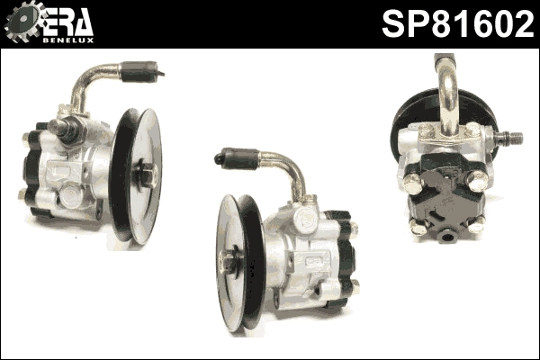 SP81602
