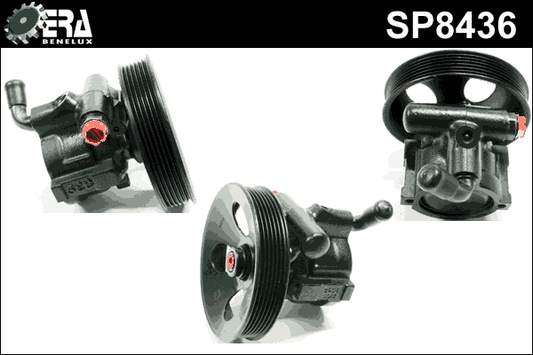 SP8436