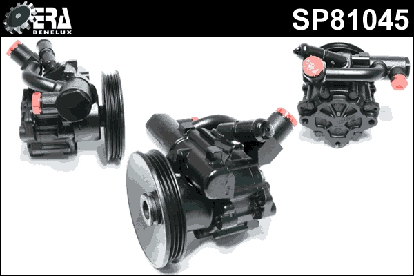 SP81045