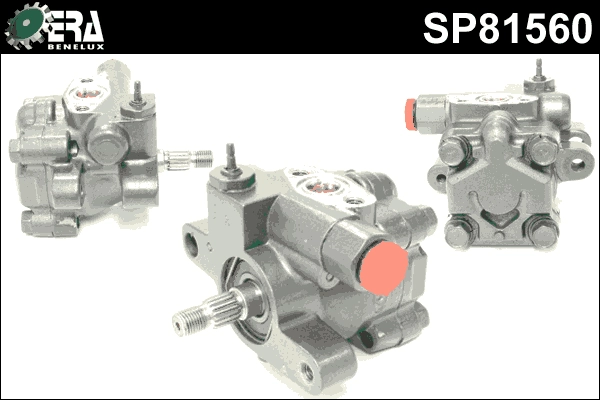 SP81560