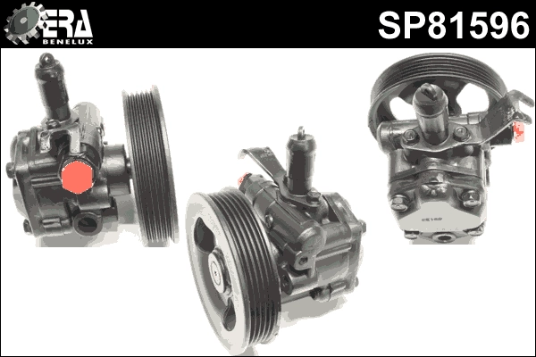SP81596
