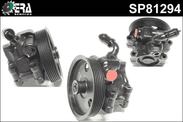 SP81294