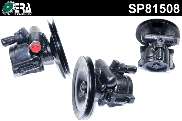 SP81508