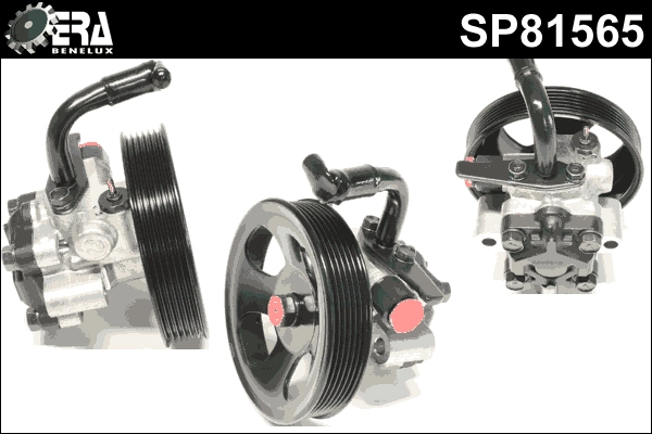 SP81565