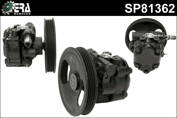SP81362
