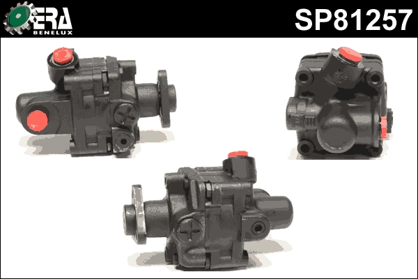 SP81257