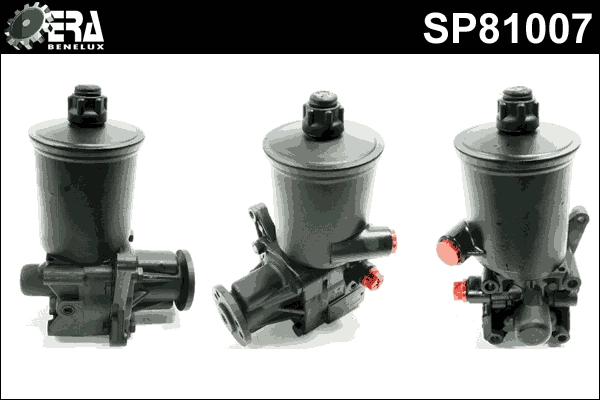 SP81007