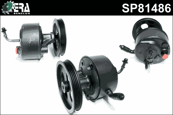 SP81486