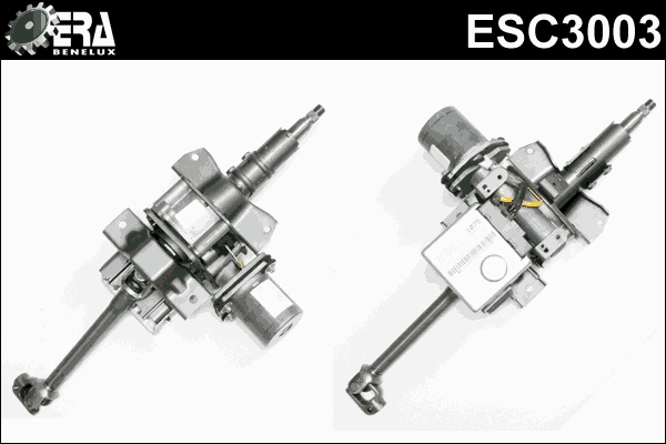 ESC3003