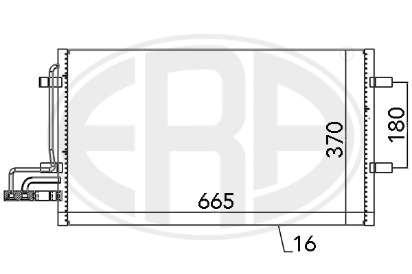 667029