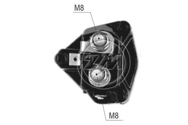 ZM65091