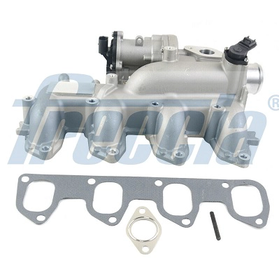 EGR12-203