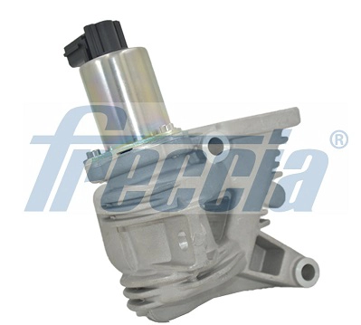 EGR12-117