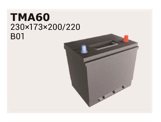 TMA60