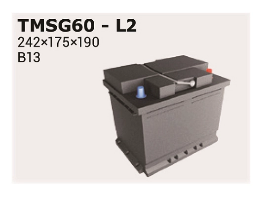 TMSG60