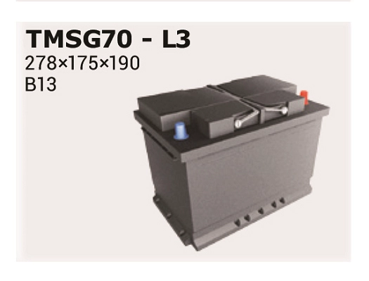 TMSG70