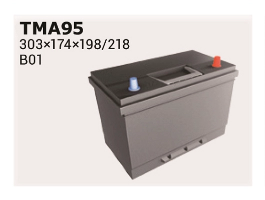 TMA95