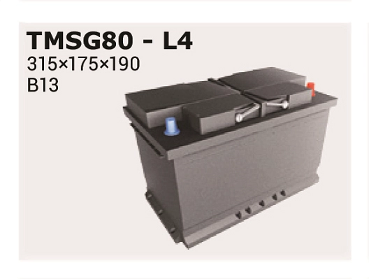 TMSG80
