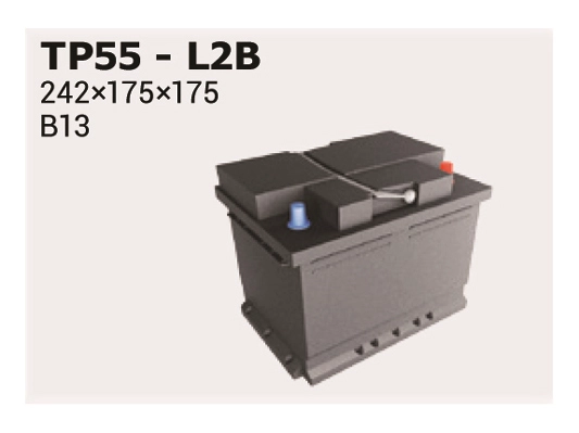 TP55