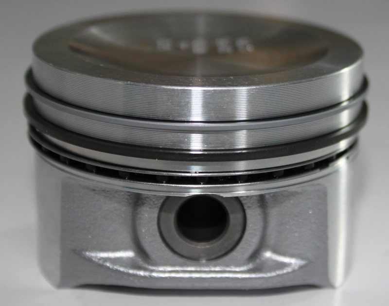 PI006100