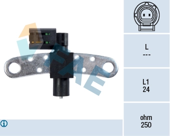 79029