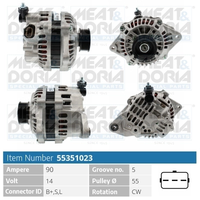 55351023