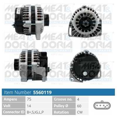5560119