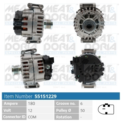 55151229