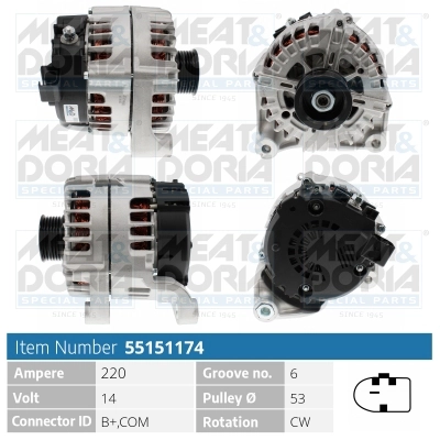 55151174