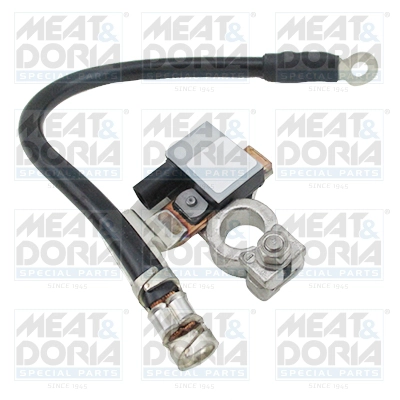 FV6T10C679AC