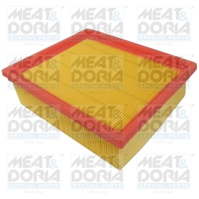 25069011