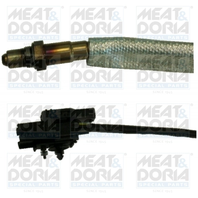 81530