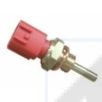 82036