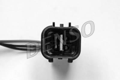 DLS-316
