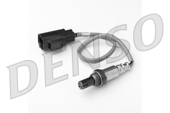 DLS-229