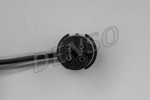 DLS-444