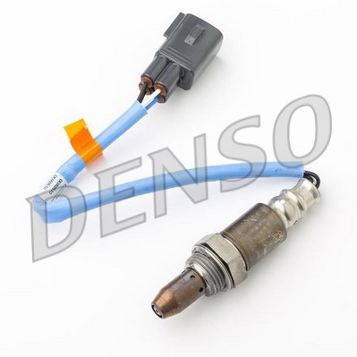 DLS-503